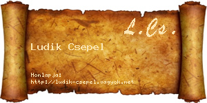 Ludik Csepel névjegykártya